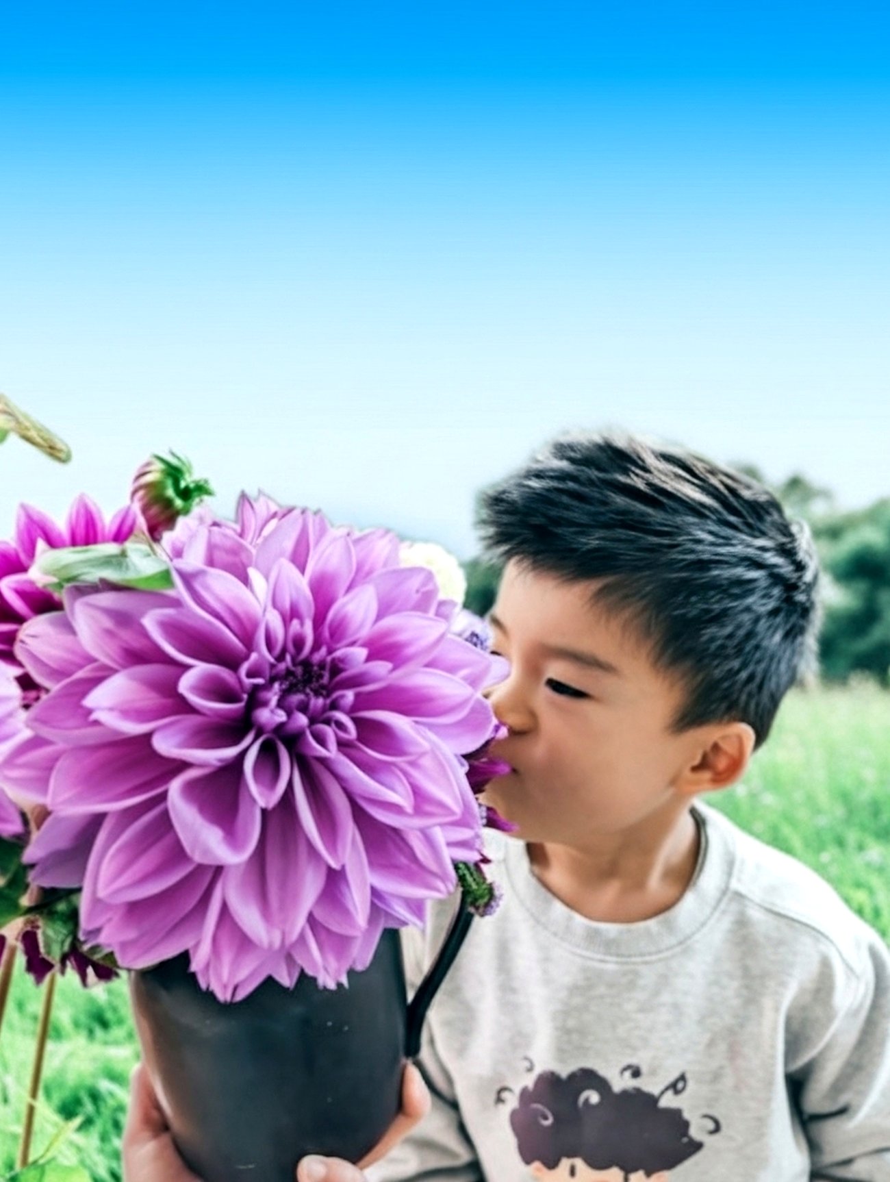 A small child gently kissing an oversized purple dahlia in the field