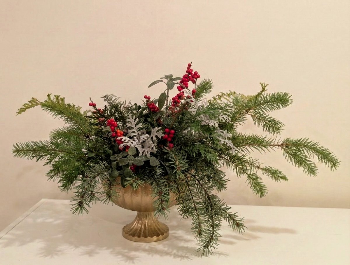 Winter arrangement in a gold footed urn — fir, cedar, dusty miller, and red berries from the garden